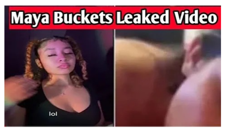 Maya bucket's viral video Maya bucket's Twitter